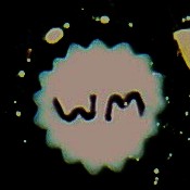 WM signature cane